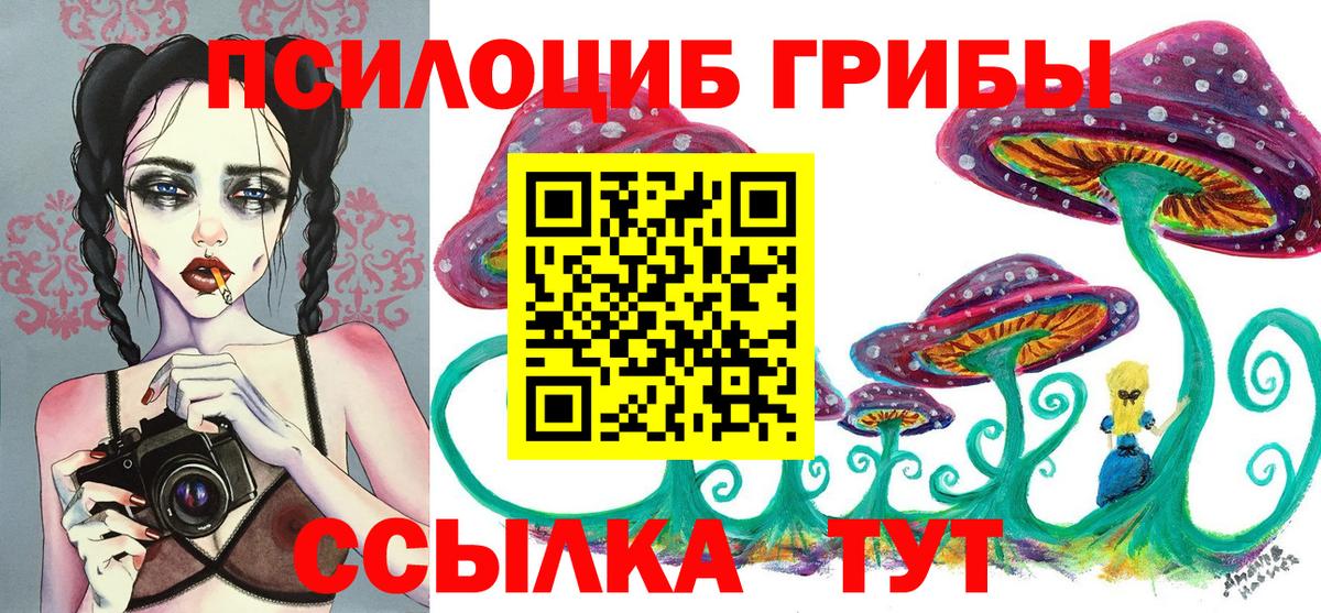 Галлюциногенные грибы Psilocybine cubensis Борзя